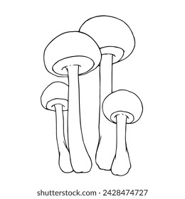 Line sketch of forest toadstool mushrooms. Vector graphics.