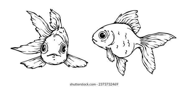 Line sketch, goldfish doodle. Vector graphics.