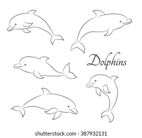 Line sketch illustration with five cute dolphins. Vector illustration.
