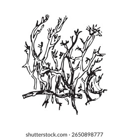 Ilustração de esboço de linha de musgo de esfagno sobre fundo branco