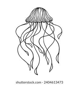 Esbozo de líneas, doodle de medusas. Gráficos vectoriales.