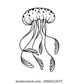 Line sketch, jellyfish doodle. Vector graphics.