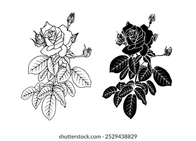  Line sketch, outline, stamp of rose flowers. Decorative botanical silhouettes. Vector graphics.