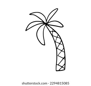 Line sketch of palm tree. Cute doodle vector illustration isolated on white background