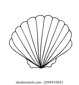 Esbozo de líneas, garabato de conchas. Elemento vector decorativo.