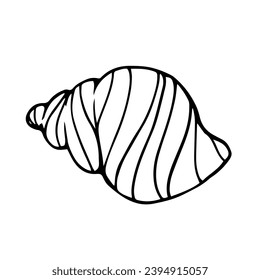 Line sketch, seashell doodle. Decorative vector element.