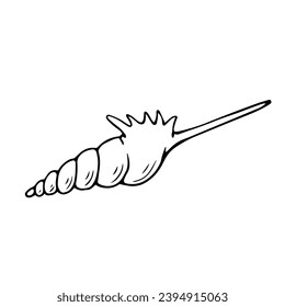 Line sketch, seashell doodle. Decorative vector element.