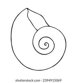 Esbozo de líneas, garabato de conchas. Elemento vector decorativo.