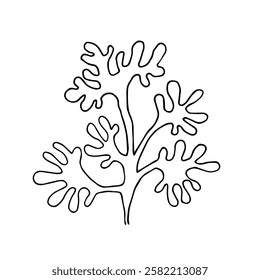 Line sketch, seaweed doodle, decorative botanical element. Vector graphics.