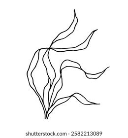 Line sketch, seaweed doodle, decorative botanical element. Vector graphics.