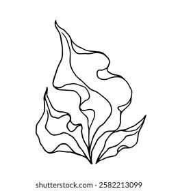 Line sketch, seaweed doodle, decorative botanical element. Vector graphics.