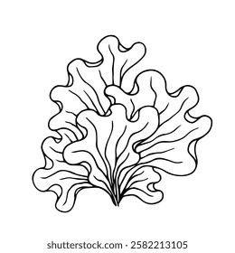 Line sketch, seaweed doodle, decorative botanical element. Vector graphics.