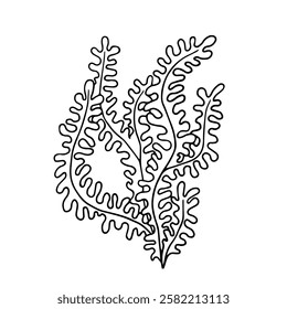 Line sketch, seaweed doodle, decorative botanical element. Vector graphics.