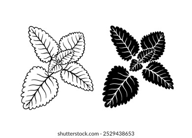 Linienskizze, Silhouette, Münzblattstempel. Dekorative botanische Elemente. Vektorgrafiken.