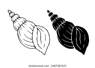 Line sketch, silhouette, seashell stamp. Vector graphics.