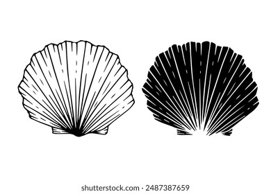 Line sketch, silhouette, seashell stamp. Vector graphics.