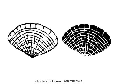 Line sketch, silhouette, seashell stamp. Vector graphics.