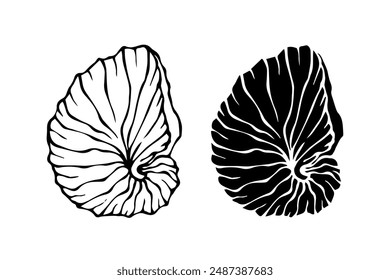 Boceto de línea, silueta, sello de concha marina. Vector gráfico.