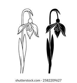 Line sketch, silhouette of a seasonal plant, spring flower snowdrop. Vector graphics.