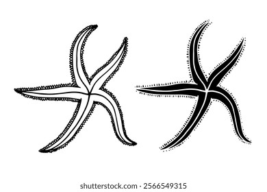 Line sketch, silhouette, stamp of aquatic inhabitants of starfish. Vector graphics.