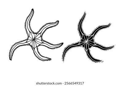 Line sketch, silhouette, stamp of aquatic inhabitants of starfish. Vector graphics.