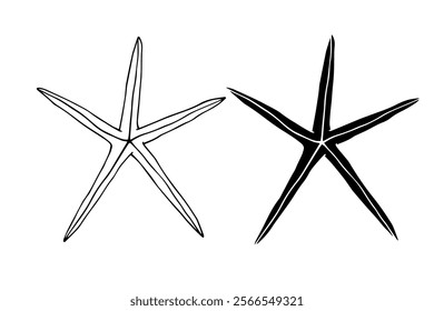 Line sketch, silhouette, stamp of aquatic inhabitants of starfish. Vector graphics.