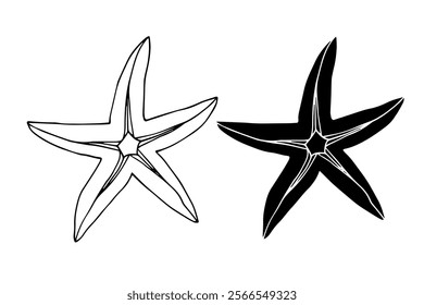 Line sketch, silhouette, stamp of aquatic inhabitants of starfish. Vector graphics.