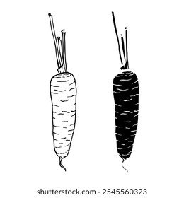 Esboço de linha, silhueta, carimbo de raiz de cenoura vegetal. Gráficos vetoriais.