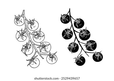 Line sketch, silhouette, stamp of cherry tomato fruits. Vector graphics.	