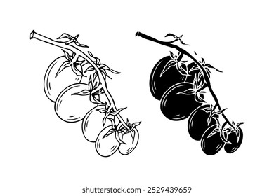 Boceto de línea, silueta, sello de frutas de tomate cherry. Gráficos de Vector.	