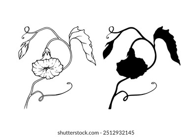 Line sketch, silhouette, stamp of climbing flowers. Vector graphics.