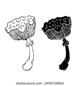 Line sketch, silhouette stamp of forest mushrooms fly agarics. Vector graphics.