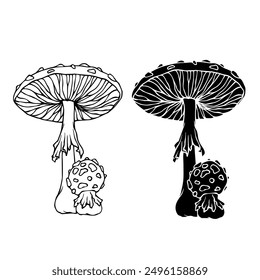 Line sketch, silhouette stamp of forest mushrooms fly agarics. Vector graphics.