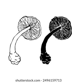 Line sketch, silhouette stamp of forest mushrooms toadstools. Vector graphics.