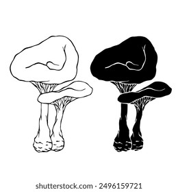 Line sketch, silhouette stamp of forest mushrooms toadstools. Vector graphics.