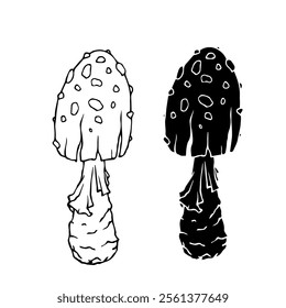 Line sketch, silhouette, stamp of a forest mushroom fly agaric. Vector graphics.