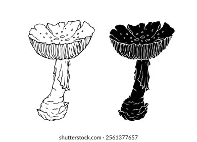Line sketch, silhouette, stamp of a forest mushroom fly agaric. Vector graphics.