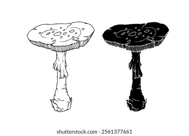 Line sketch, silhouette, stamp of a forest mushroom fly agaric. Vector graphics.