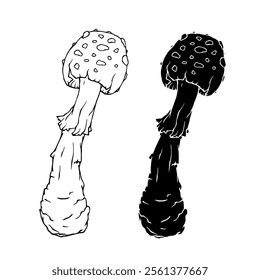 Line sketch, silhouette, stamp of a forest mushroom fly agaric. Vector graphics.