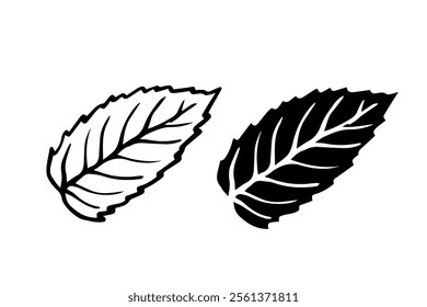 Line sketch, silhouette, stamp of leaves. Vector graphics.