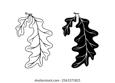 Line sketch, silhouette, stamp of leaves. Vector graphics.