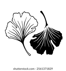 Line sketch, silhouette, stamp of leaves. Vector graphics.