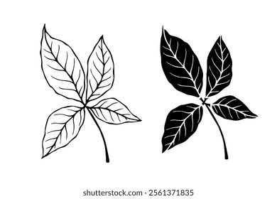 Line sketch, silhouette, stamp of leaves. Vector graphics.