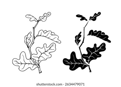 Line sketch, silhouette, stamp of oak branches with foliage. Vector graphics.