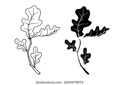 Line sketch, silhouette, stamp of oak branches with foliage. Vector graphics.
