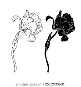 Boceto de línea, silueta, sello de la flor de primavera tablan. Gráficos de Vector.