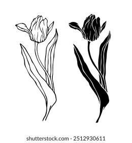 Line sketch, silhouette, stamp of spring flower tblpan. Vector graphics.