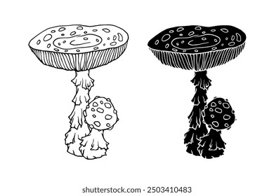 Line sketch, silhouette, stamp of toadstool mushrooms. Vector graphics.