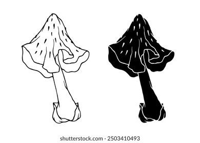 Line sketch, silhouette, stamp of toadstool mushrooms. Vector graphics.