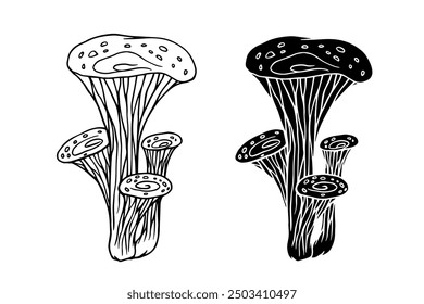 Line sketch, silhouette, stamp of toadstool mushrooms. Vector graphics.